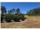 1760 Harvey Siding Road, Curra QLD 4570