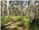 81  Delray Road, Mothar Mountain QLD 4570