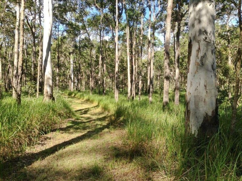 81  Delray Road, Mothar Mountain QLD 4570