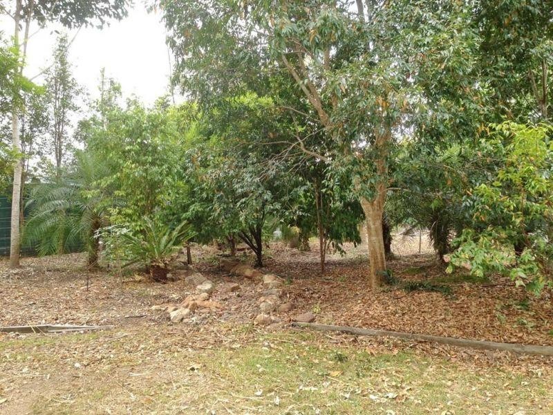 81  Delray Road, Mothar Mountain QLD 4570