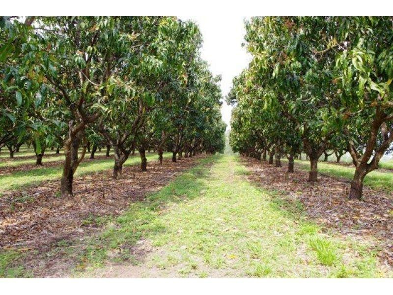 18 Mullins Creek Road, Goomboorian QLD 4570