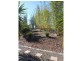 10 Forest Ridge Drive, Tamaree QLD 4570