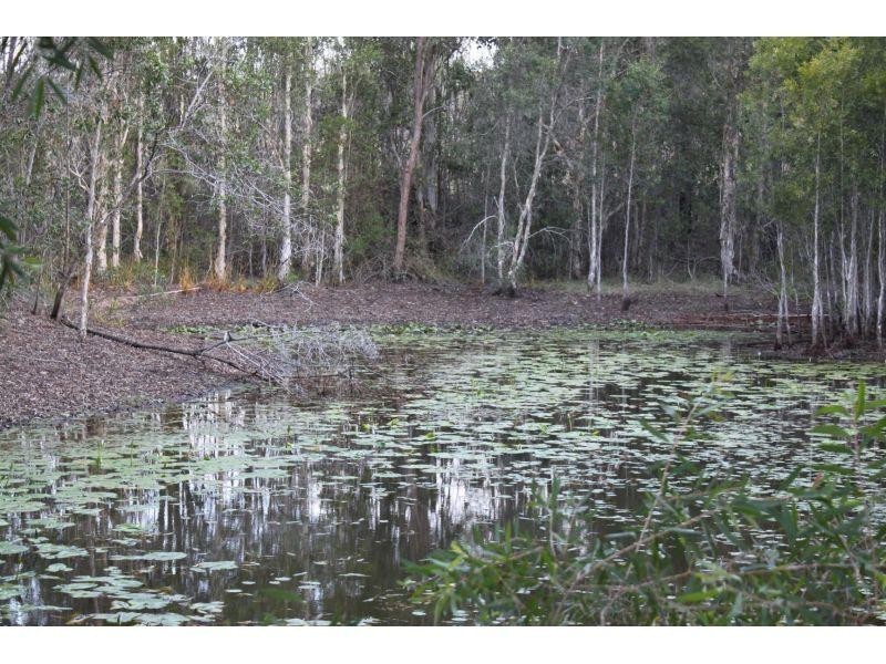 229 Hoopers Road, Curra QLD 4570