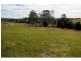 81 Tatnell Road, North Deep Creek QLD 4570