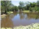 17 Larkin Road, Pie Creek QLD 4570