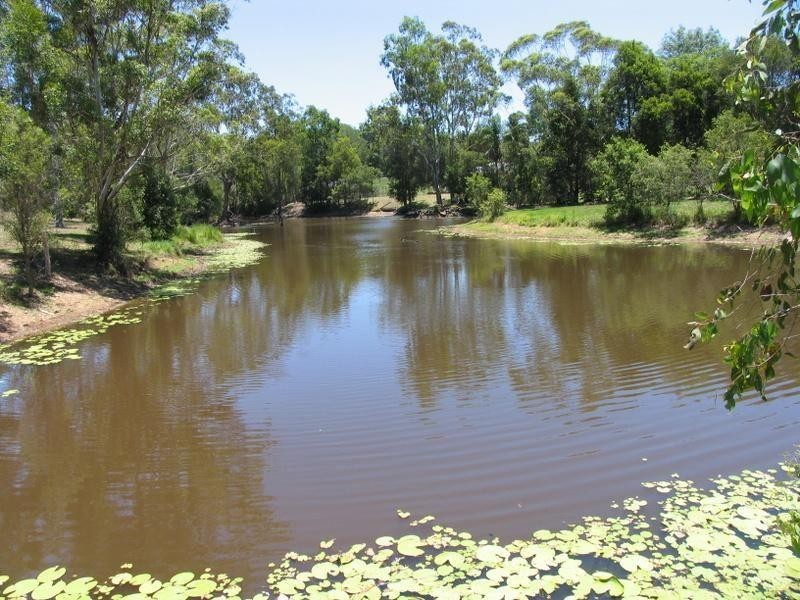 17 Larkin Road, Pie Creek QLD 4570