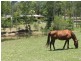17 Larkin Road, Pie Creek QLD 4570