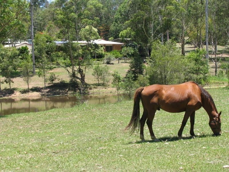 17 Larkin Road, Pie Creek QLD 4570