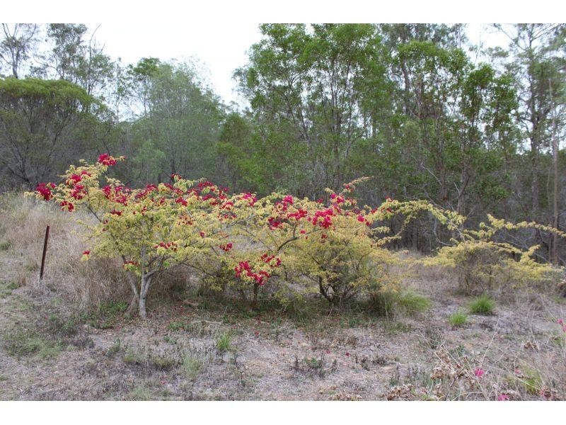 19 Lynne Drive, Curra QLD 4570