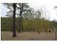 19 Lynne Drive, Curra QLD 4570
