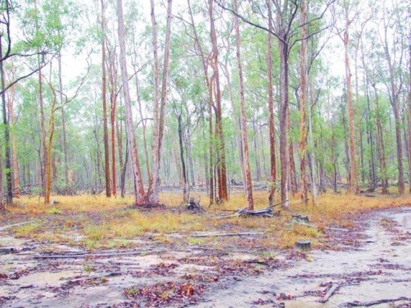 1384 Anderleigh Rd, Gunalda QLD 4570