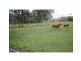 47  Nall Rd, Wilsons Pocket QLD 4570
