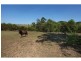 223 Calico Creek Rd, Calico Creek QLD 4570