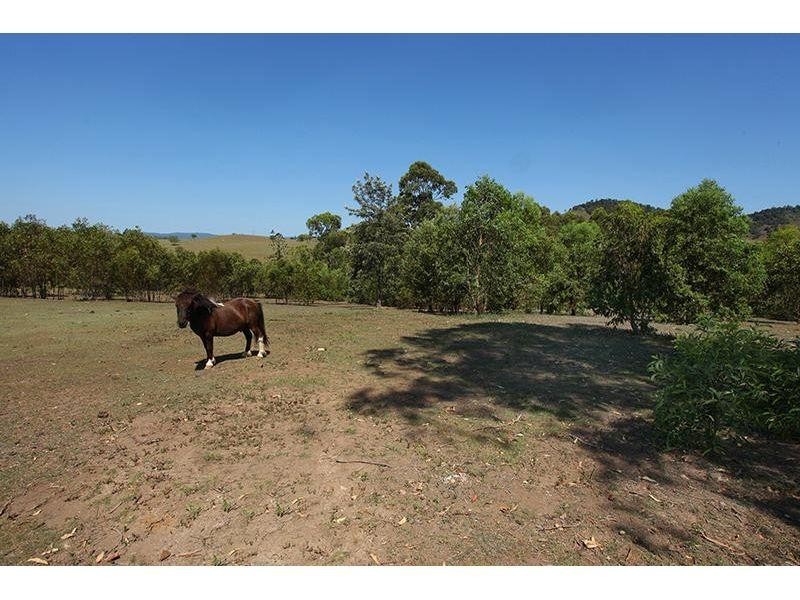 223 Calico Creek Rd, Calico Creek QLD 4570