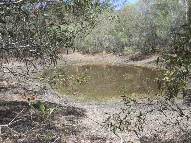 665 Old Gympie Road, Paterson QLD 4570