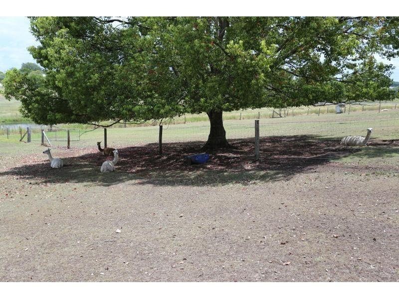 4 Opal Street, Southside QLD 4570