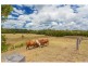 34 Arthur Portas Drive, Veteran QLD 4570