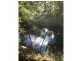 709 Glen Echo Road, Glen Echo QLD 4570