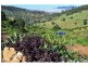 108 Irvine Road, Chatsworth QLD 4570