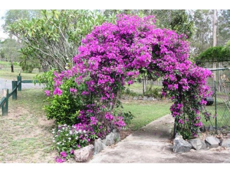 145  Cliff Jones Road, Curra QLD 4570