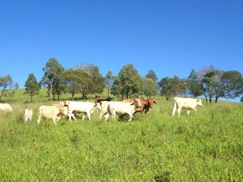 Mcintosh Creek QLD 4570