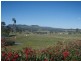 319 Hyland Road, East Deep Creek QLD 4570