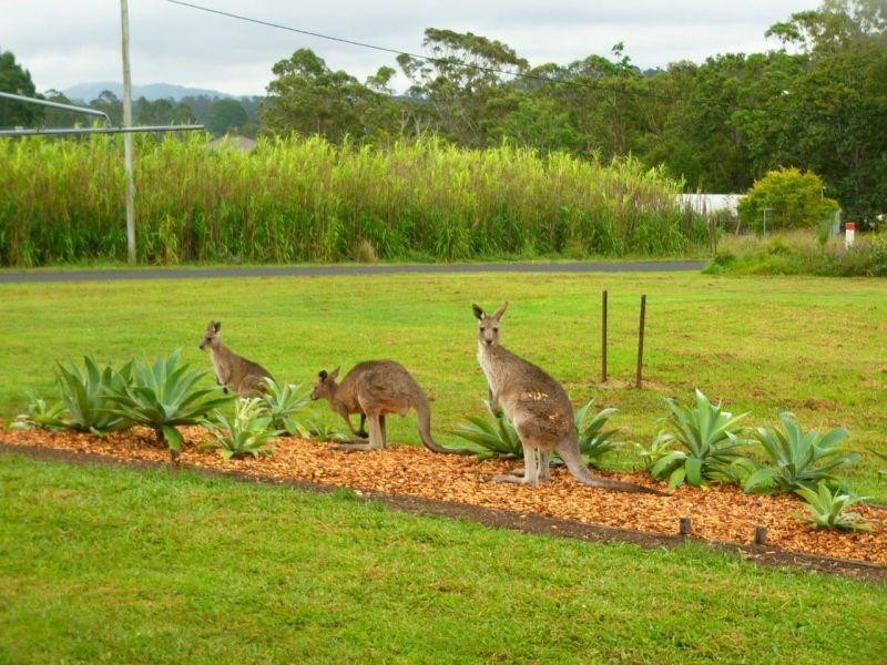 12 Arnold Rd, Veteran QLD 4570
