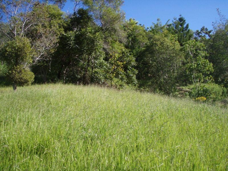 183 Golden Gully Road, Kin Kin QLD 4571