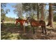 29 Hartwig Road, Mothar Mountain QLD 4570