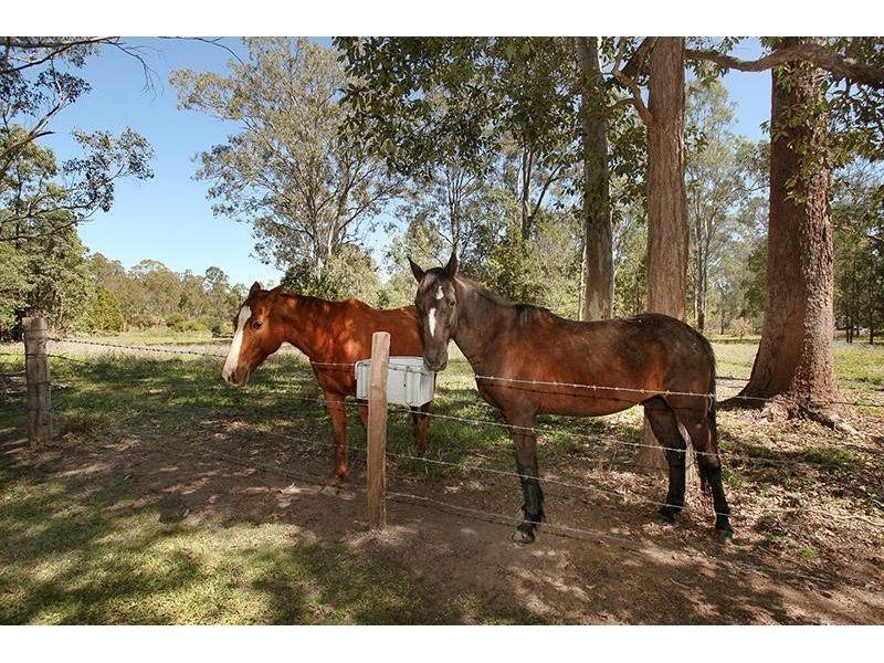 29 Hartwig Road, Mothar Mountain QLD 4570