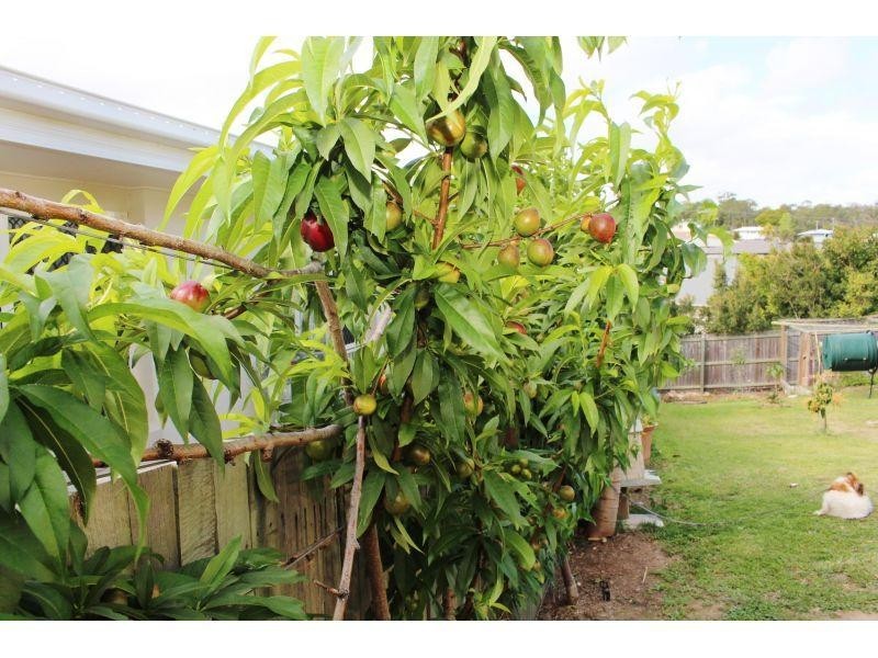 18 St Andrews Crescent, Gympie QLD 4570