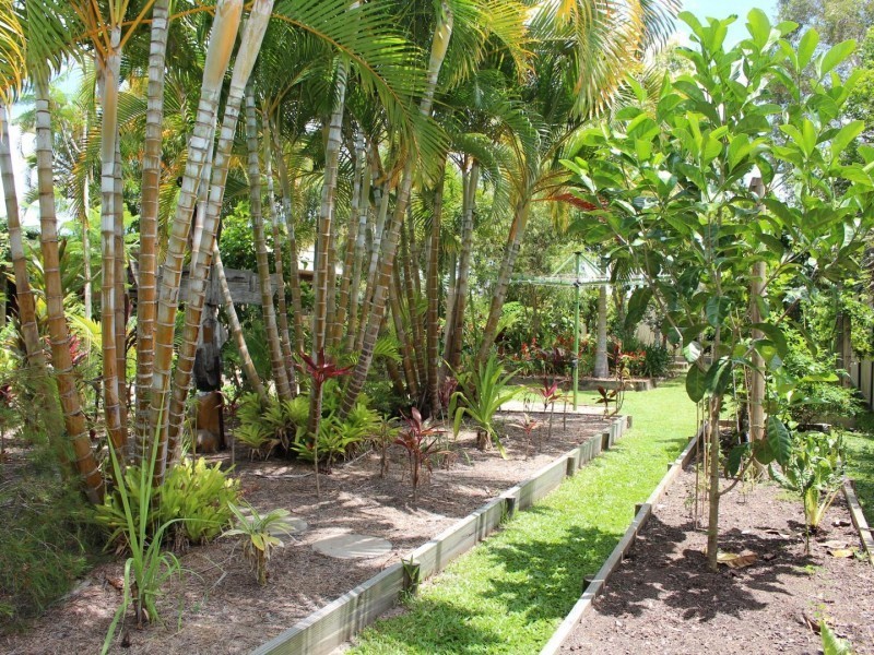 7 Zealous Court, Cooloola Cove QLD 4580