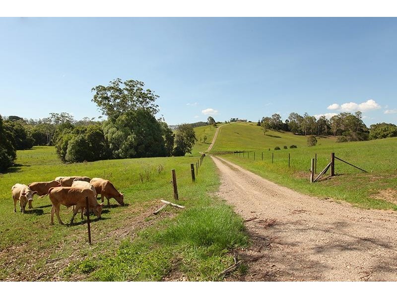 40 Ash Road, Canina QLD 4570