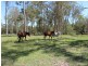 1620 Harvey Siding Rd, Curra QLD 4570