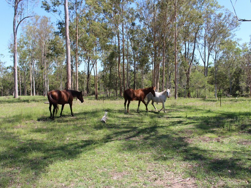 1620 Harvey Siding Rd, Curra QLD 4570
