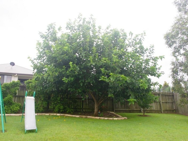 4 Fossickers Court, Southside QLD 4570