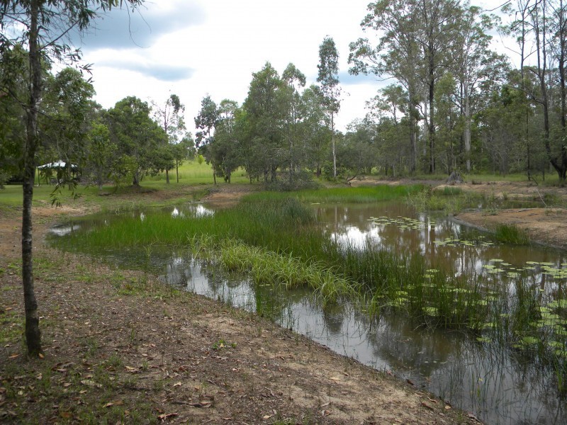 407 Arborfive Rd, Glenwood QLD 4570