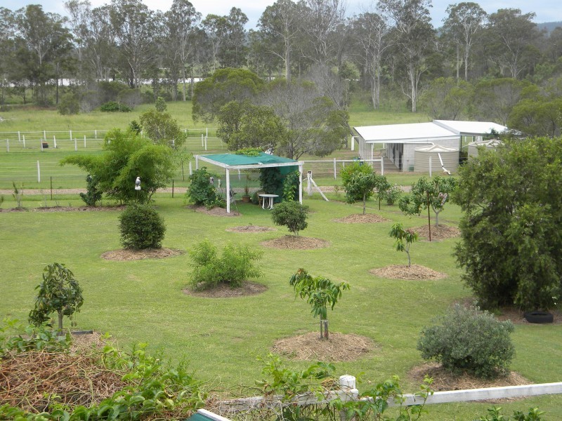 100 Clarkson Dve, Curra QLD 4570
