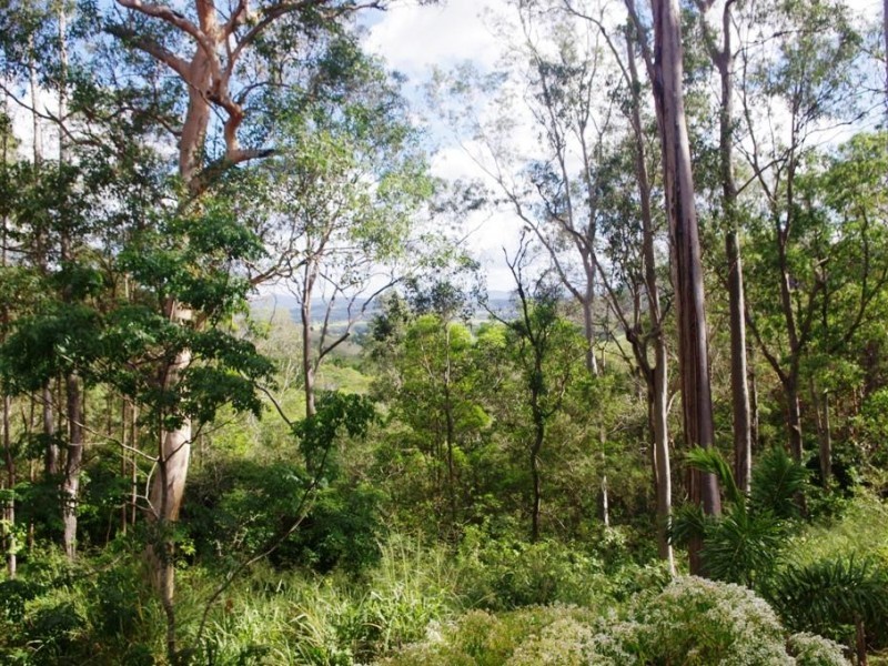 258 Chinamans Creek Road, Tuchekoi QLD 4570