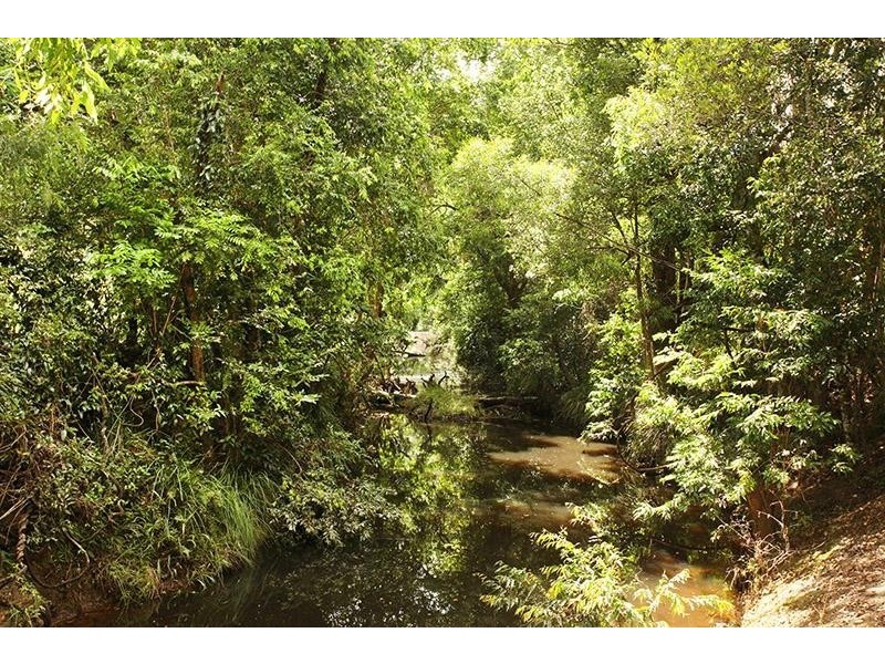 483 Coles Creek Road, Cooran QLD 4569