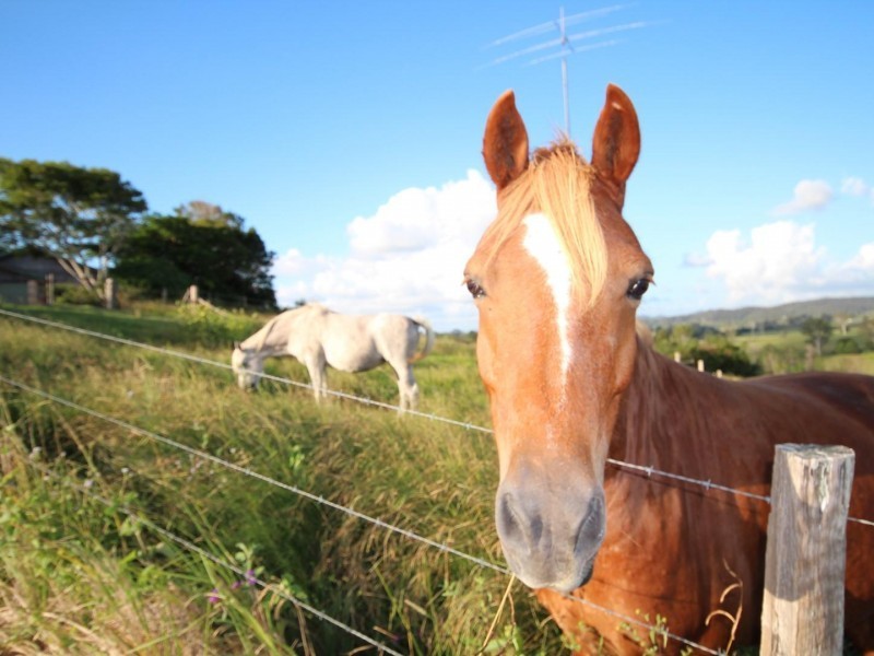 124  Kiaka Road, Lagoon Pocket QLD 4570