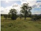 16 Conway Court, Glastonbury QLD 4570