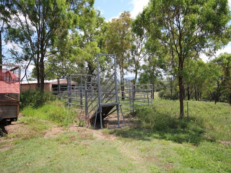 16 Conway Court, Glastonbury QLD 4570
