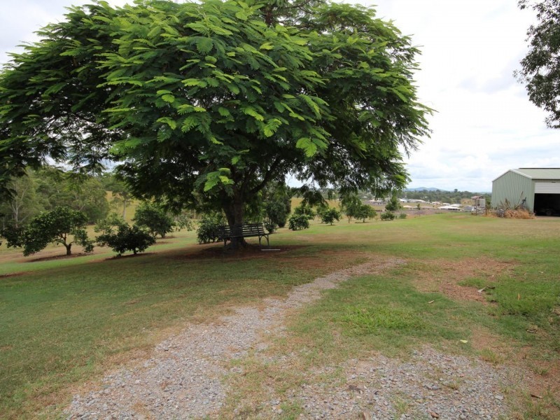 99 McIntosh Creek Road, Jones Hill QLD 4570