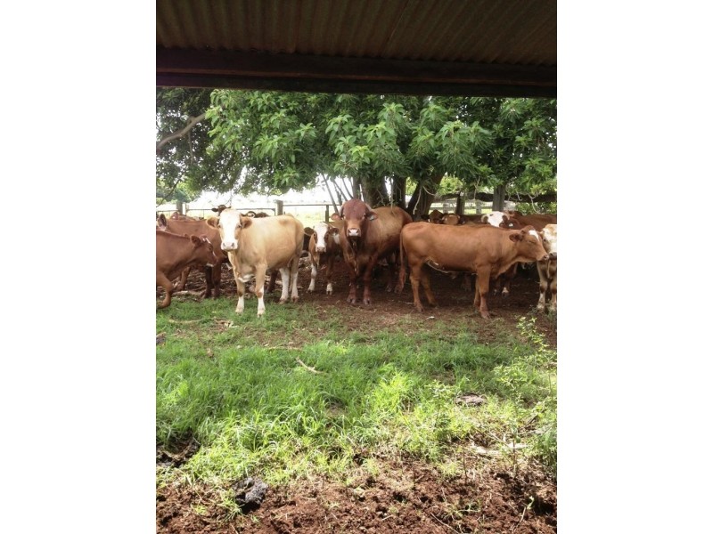 Lot 2, 66  Parallel Road, Wooroolin QLD 4608