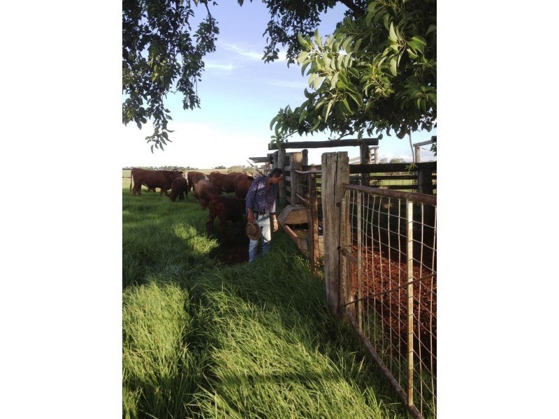 Lot 2, 66  Parallel Road, Wooroolin QLD 4608