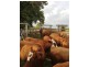 Lot 2, 66  Parallel Road, Wooroolin QLD 4608