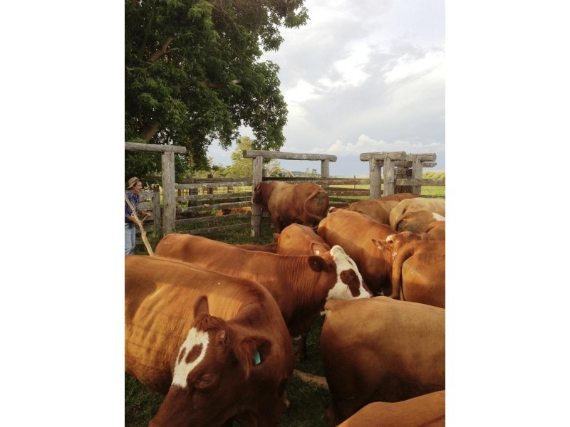 Lot 2, 66  Parallel Road, Wooroolin QLD 4608