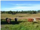128 Witham Road, The Dawn QLD 4570