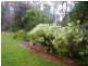 146 Rodney Road, Curra QLD 4570